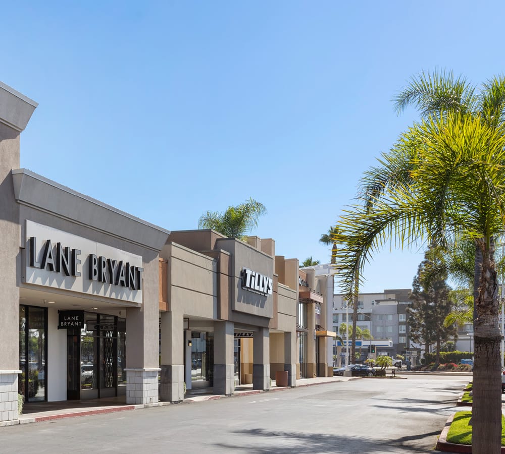 Row of stores in sunny bright blue sky and palm tree