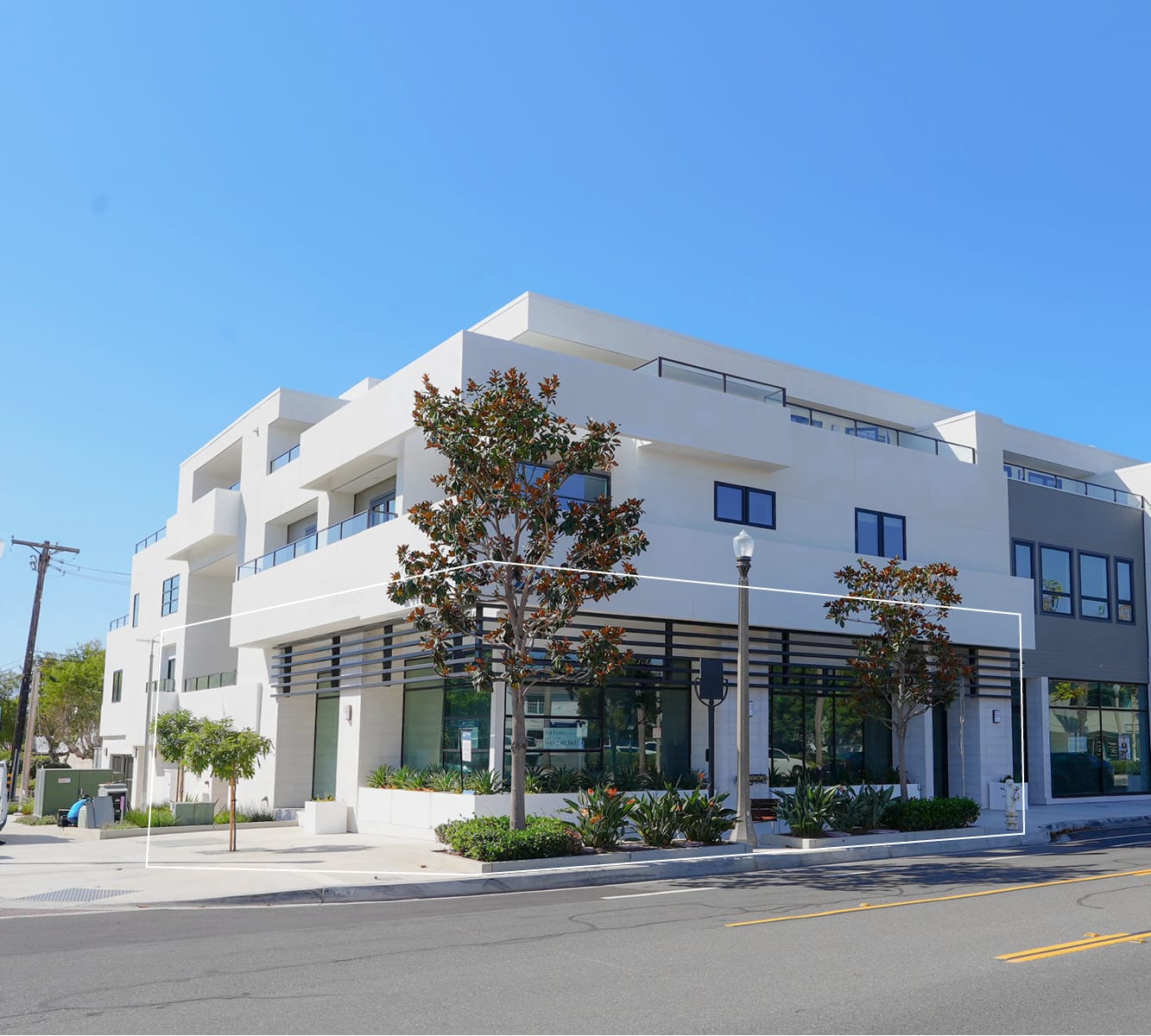 White multistory building with tree in front and blue sky