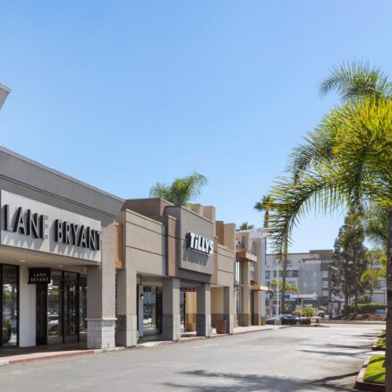 Row of stores in sunny bright blue sky and palm tree
