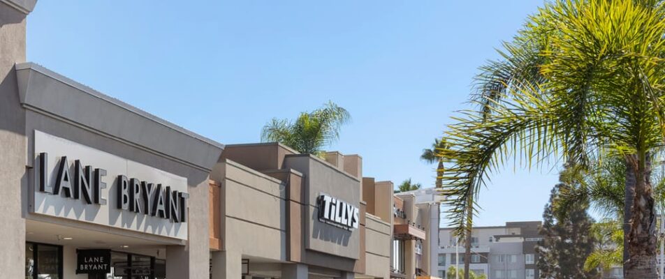 Row of stores in sunny bright blue sky and palm tree