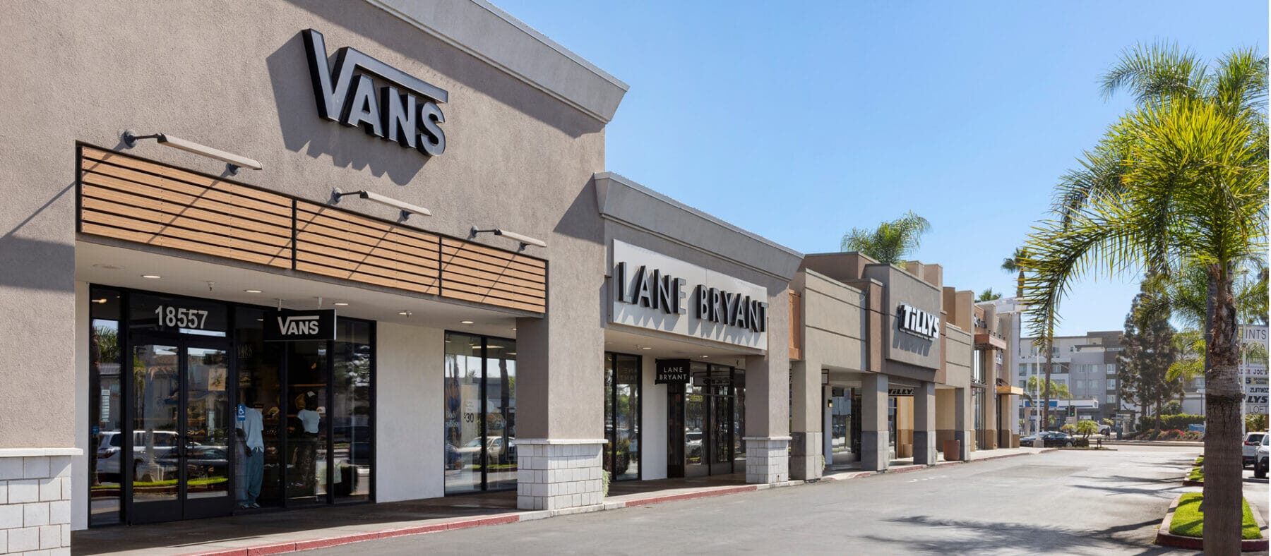 Row of stores in sunny bright blue sky and palm tree