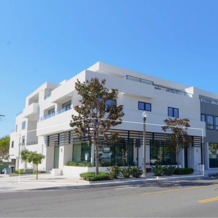 White multistory building with tree in front and blue sky