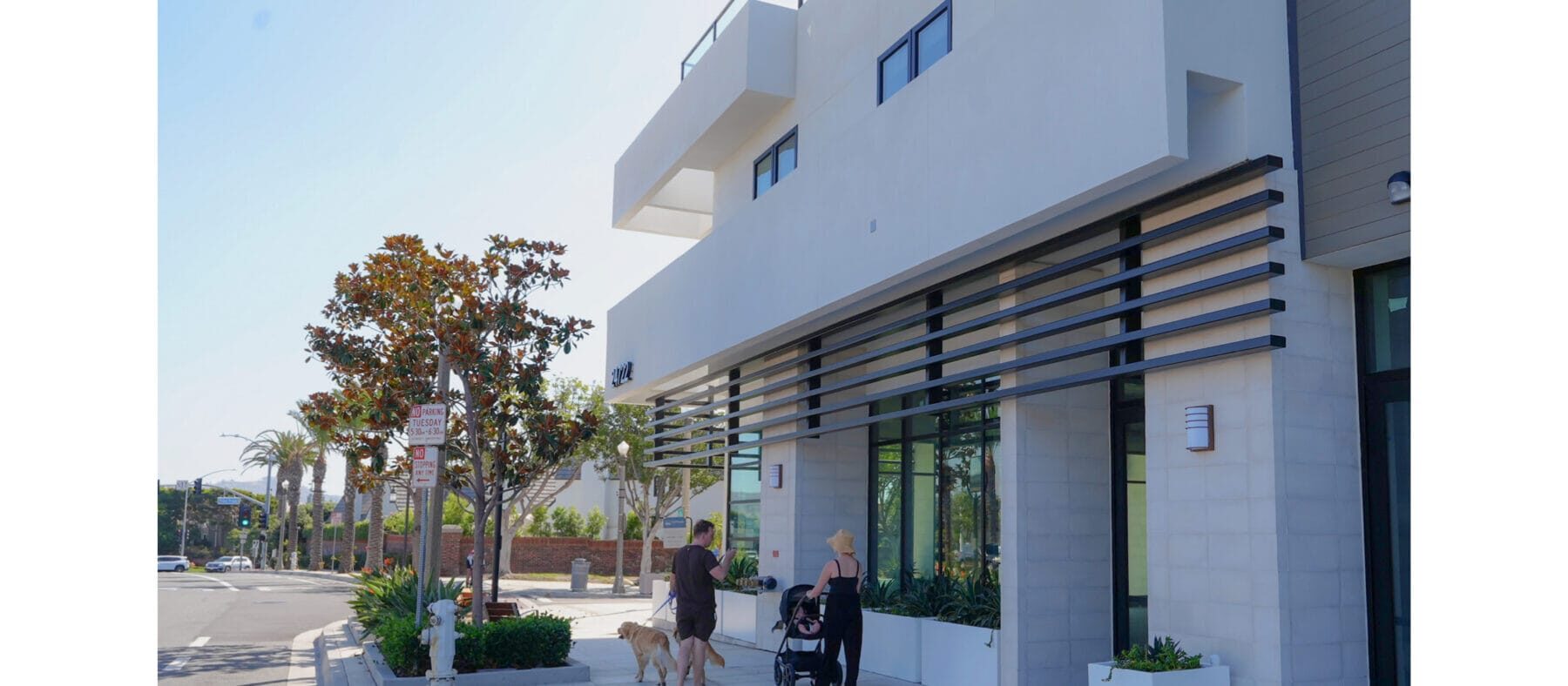 White multistory building with tree in front and blue sky