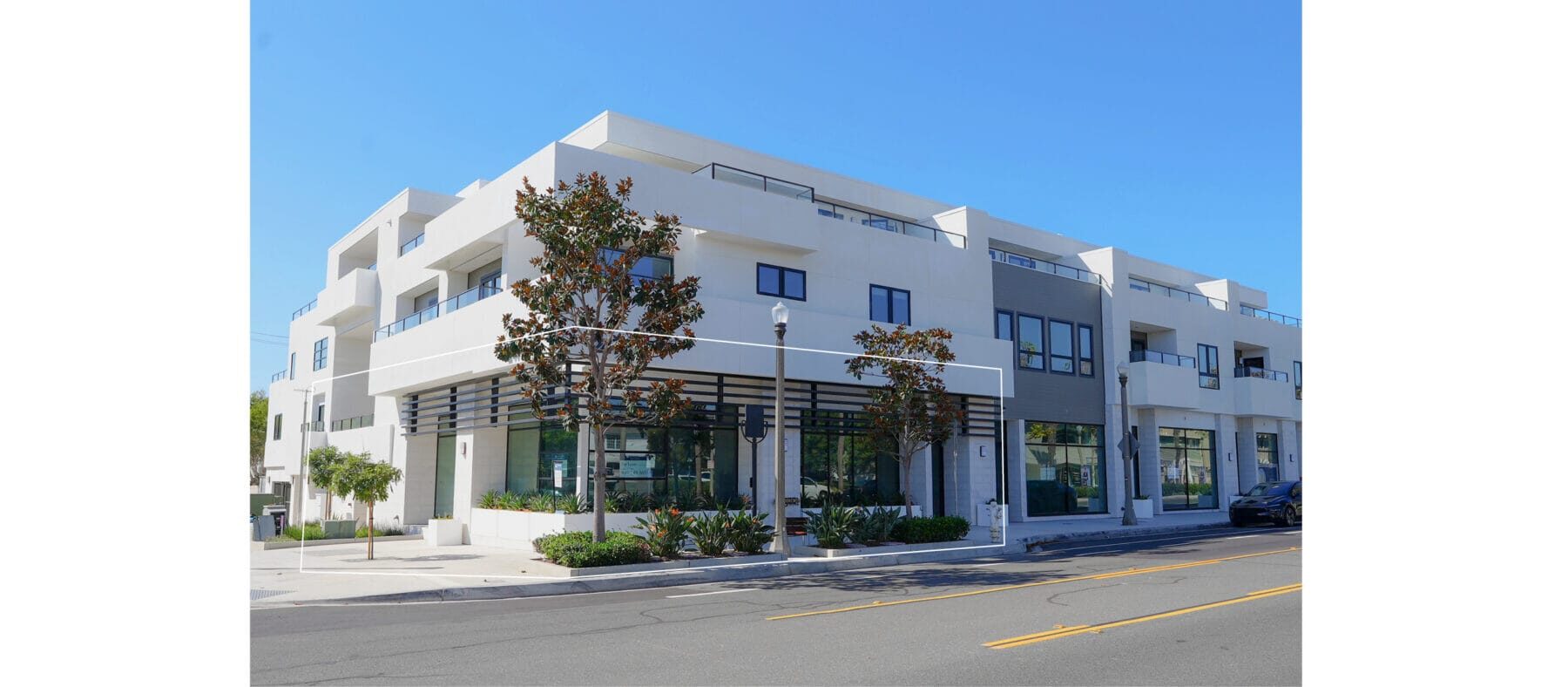White multistory building with tree in front and blue sky